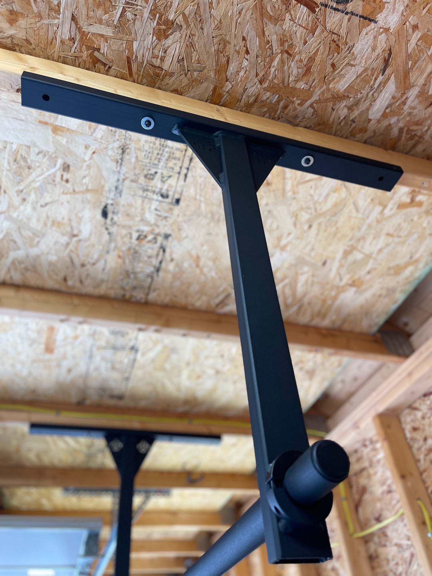 Ceiling Mounted Pull Up Bar